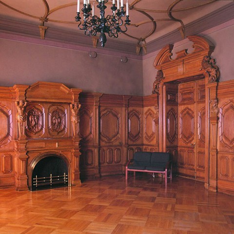 В особняке М. В. Кочубея (Конногвардейский бул., 7) В особняке М. В. Кочубея (Конногвардейский бул., 7)