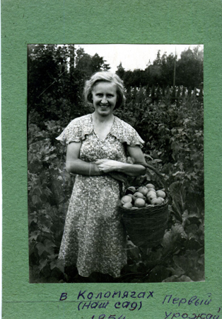 Первый урожай в коломяжском доме. Фото 1954 г.
