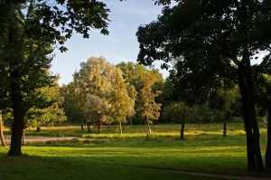 Парк «Куракина дача» у Леснозаводской улицы