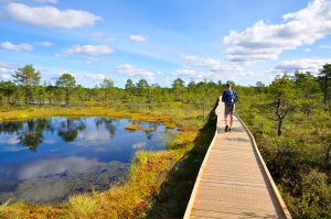 Национальный парк Лахемаа, Эстония